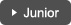 Junior gauge button